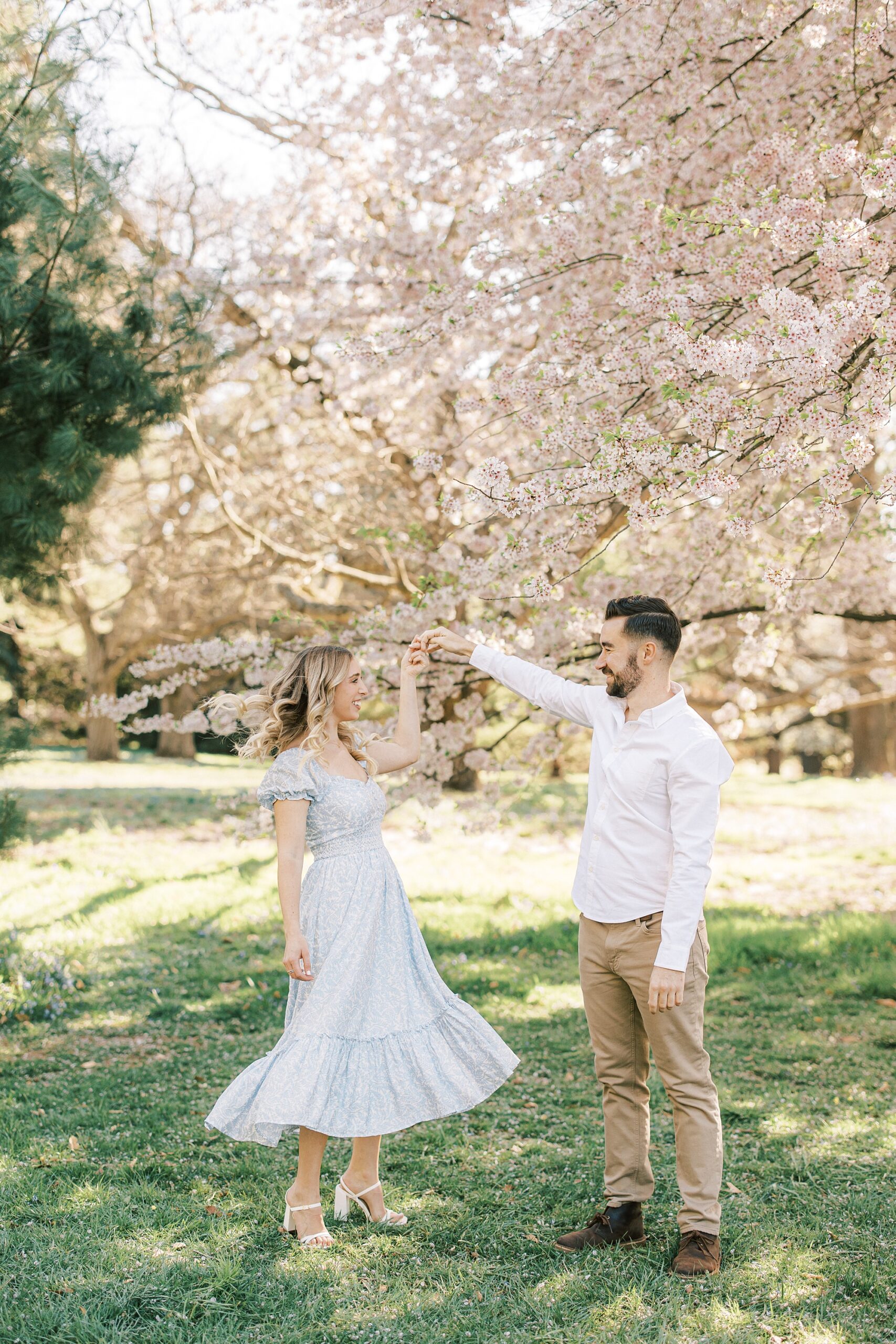 groom twirls bride under cherry blossom tree at Longwood Gardens engagement session
