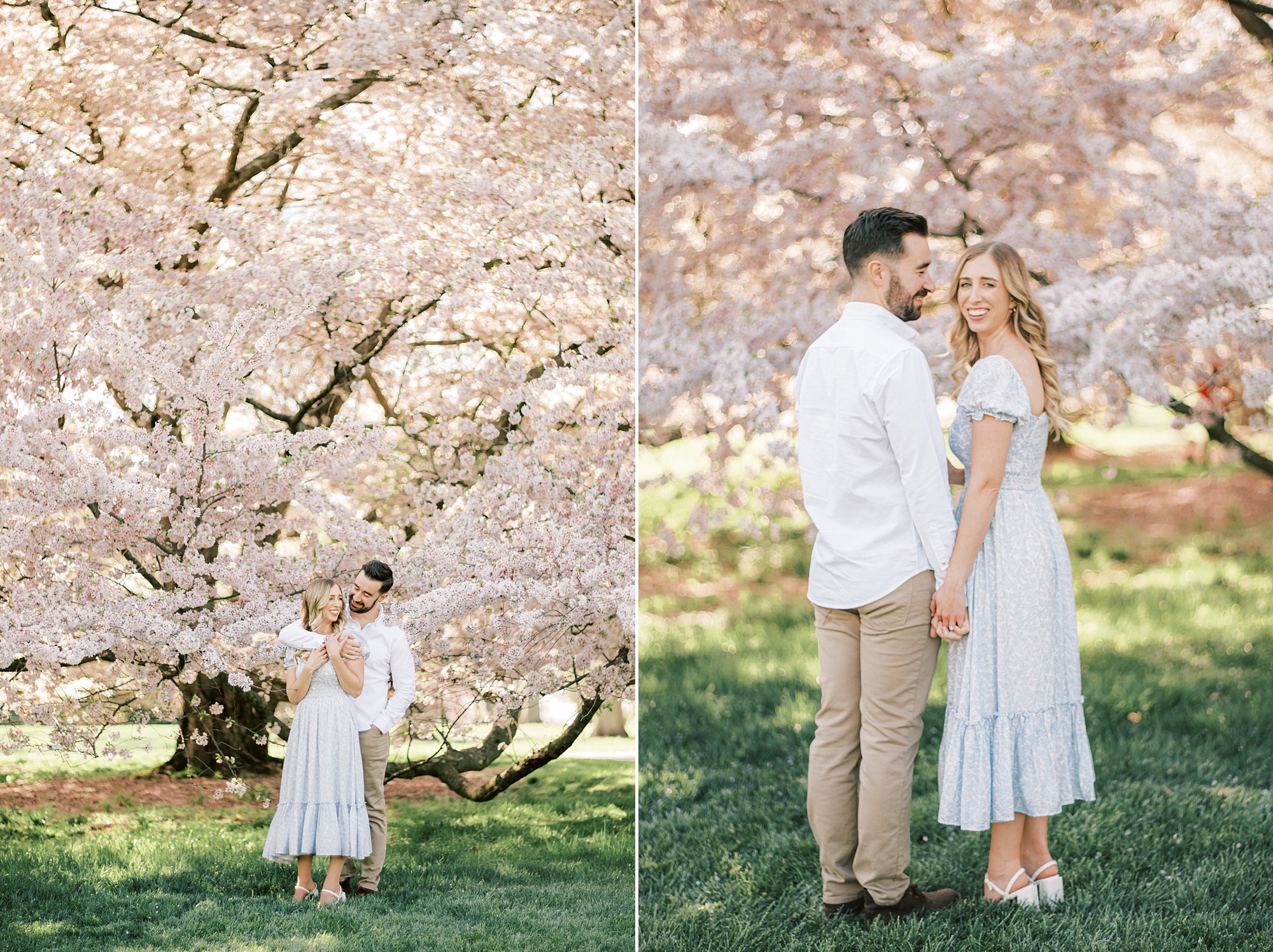 engaged couple holds hands under pink cherry blossom trees at Longwood Gardens