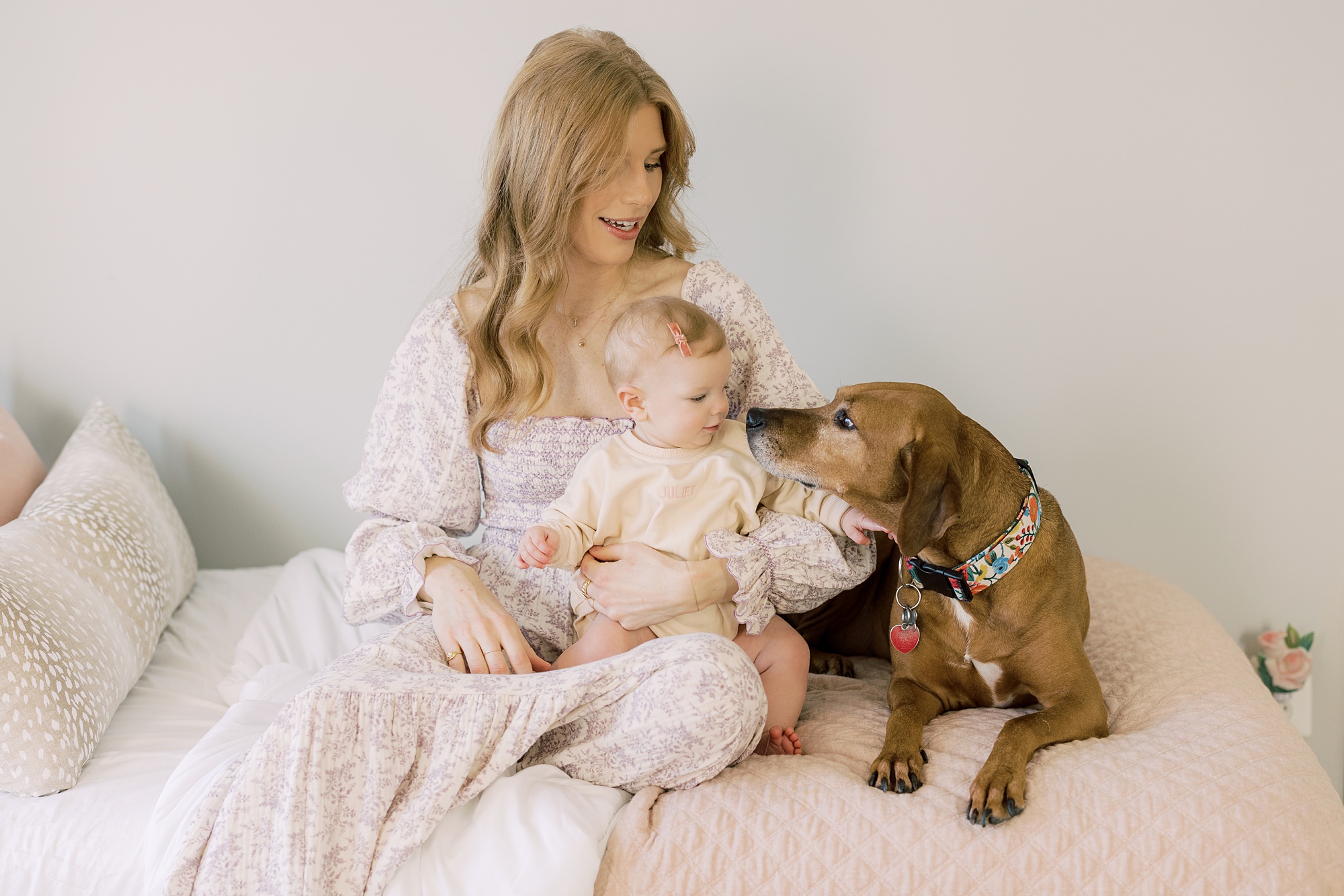 toddler reaches for dog sitting on bed during lifestyle milestone portraits