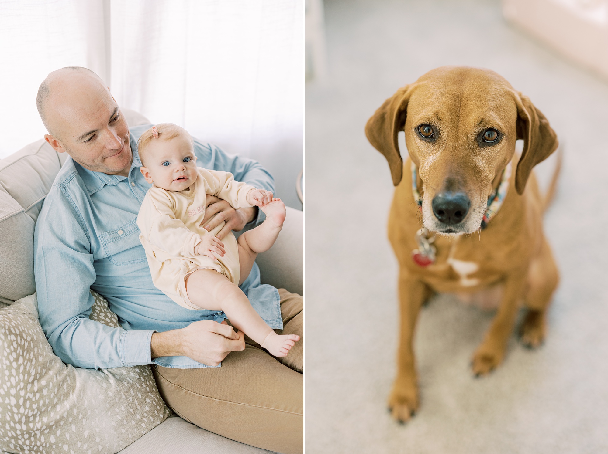 dad holds toddler on lap during lifestyle milestone portraits in Glen Mills PA