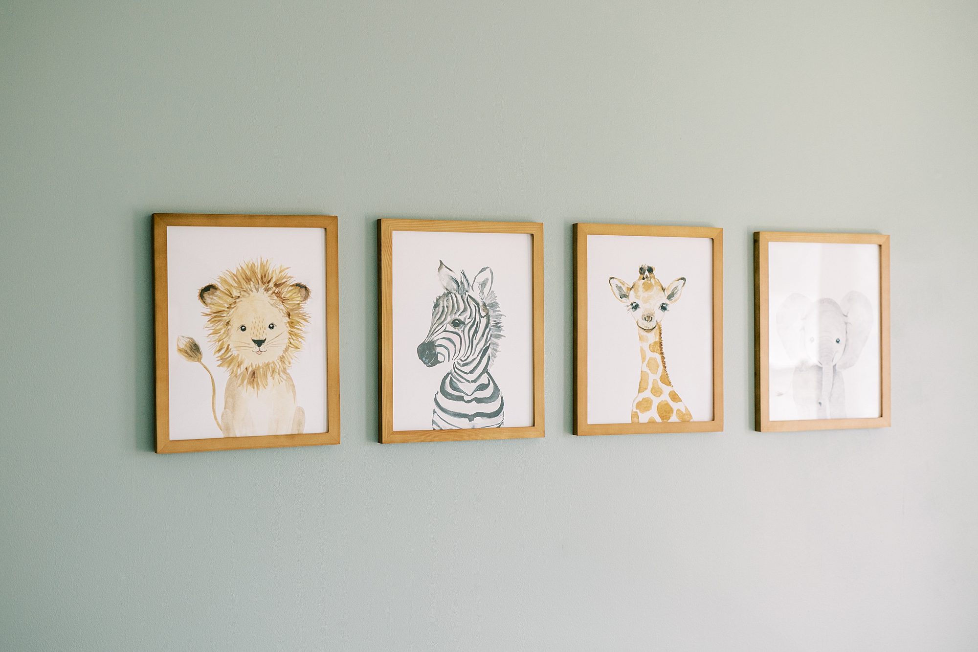 animal details in nursery for newborn session 