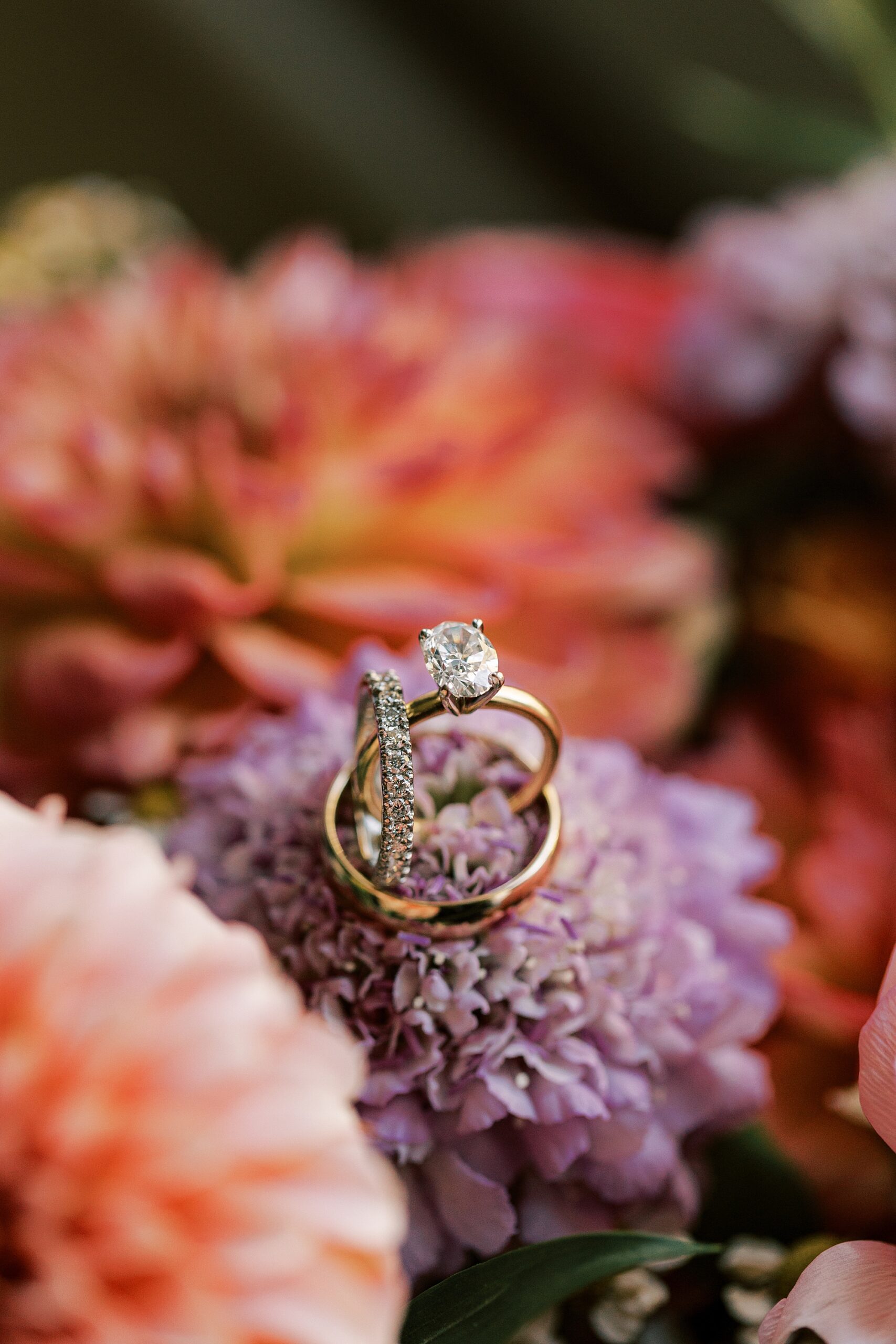 gold wedding bands rest on purple and pink flowers for fall wedding 
