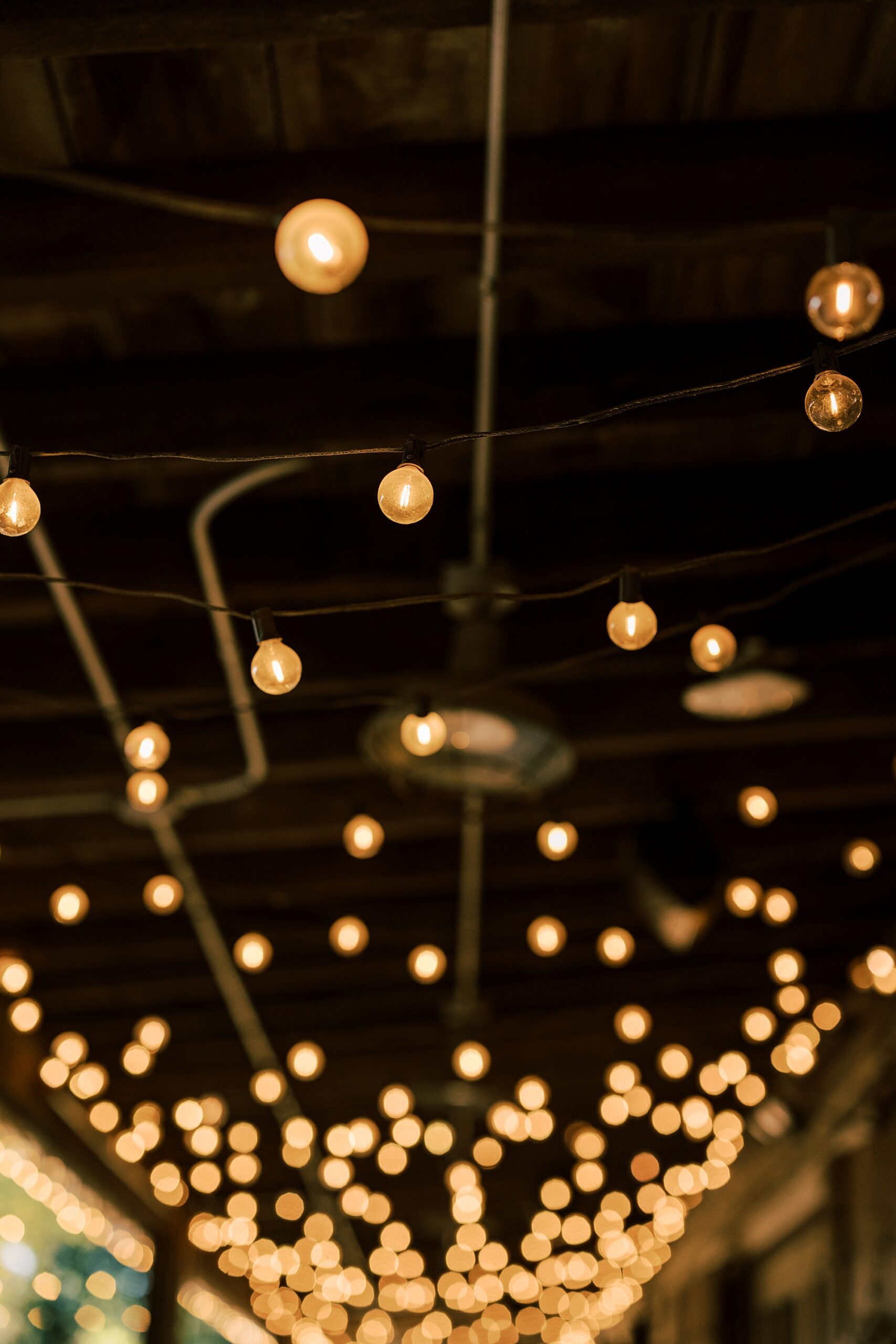 bistro lights hang inside wedding guests dance at reception at the Terrain at Styer's in Glen Mills PA