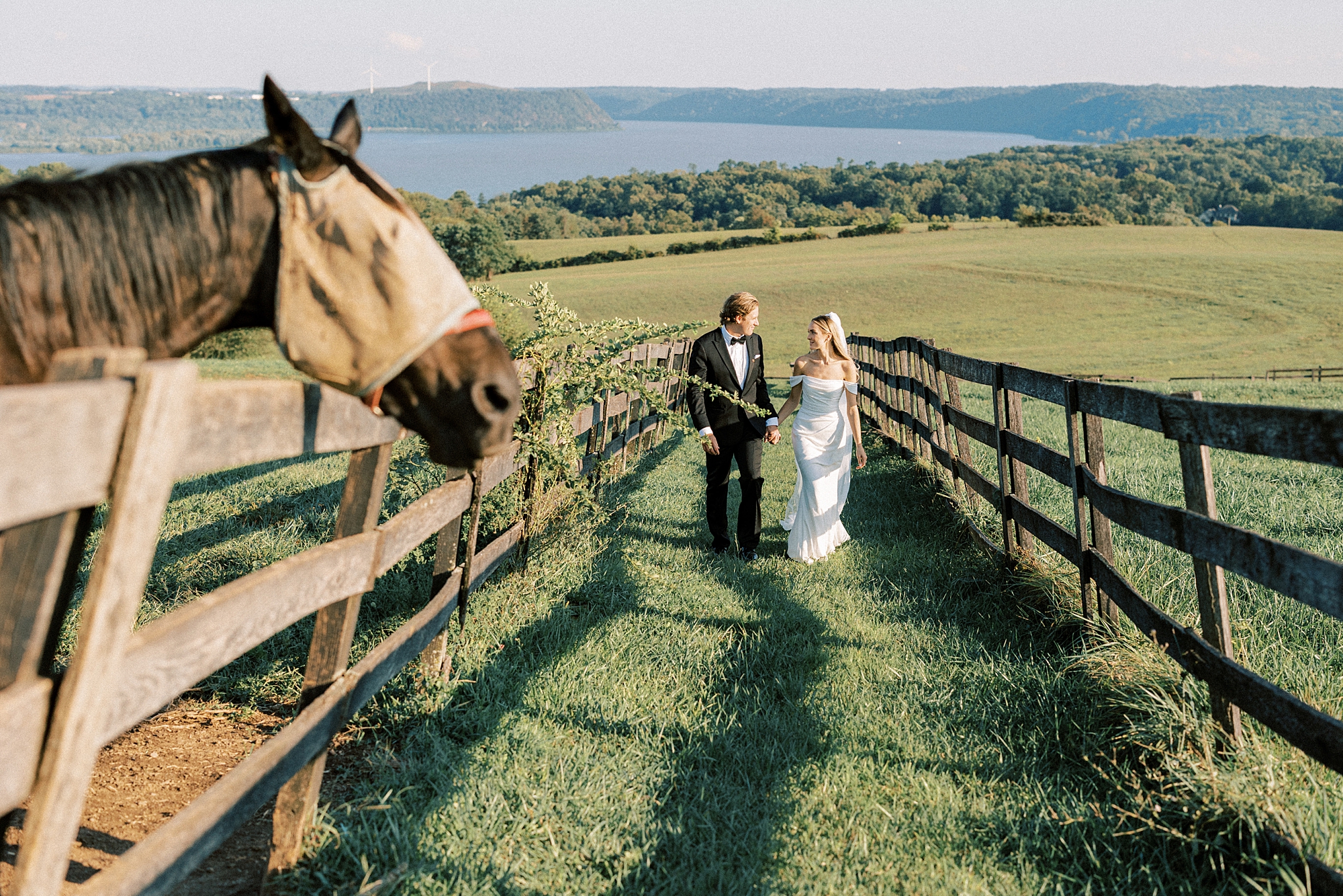 newlyweds walk by horse in pen at Lauxmont Farms