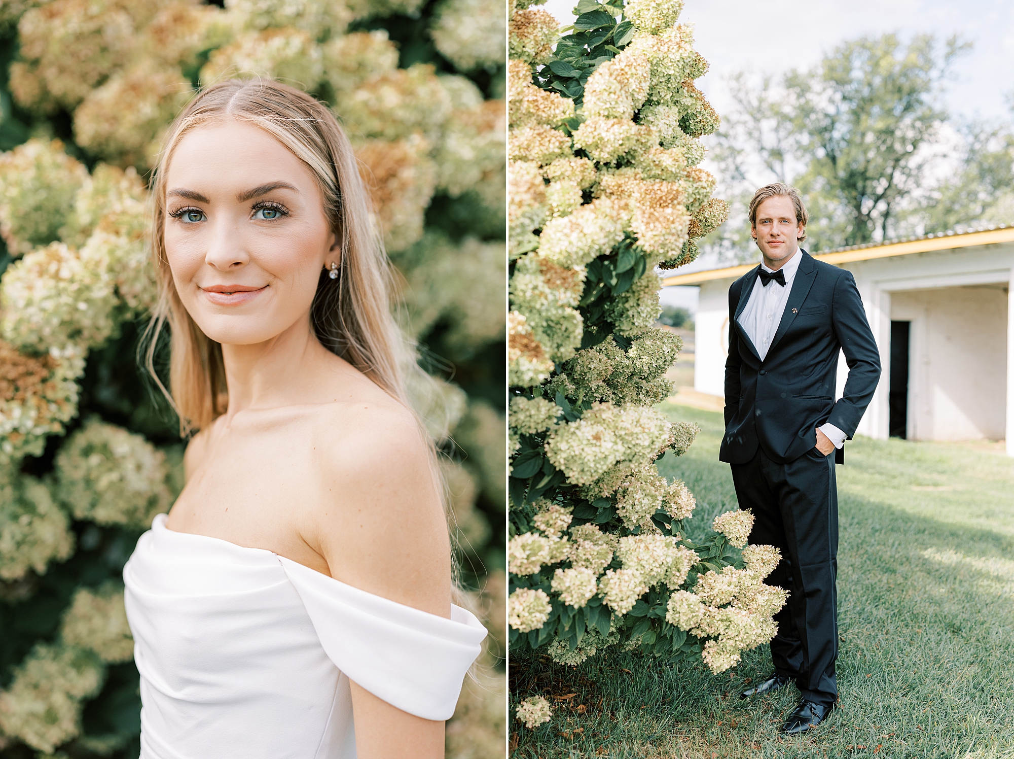 bride and groom hug near white hydrangea flowers at Lauxmont Farms