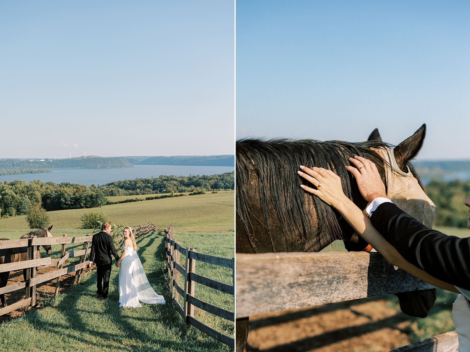 newlyweds pet horse in pen at Lauxmont Farms