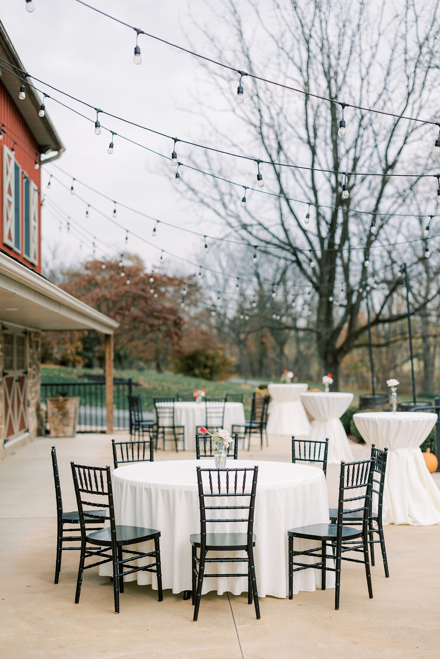 cocktail hour on patio at Osbornia Farm