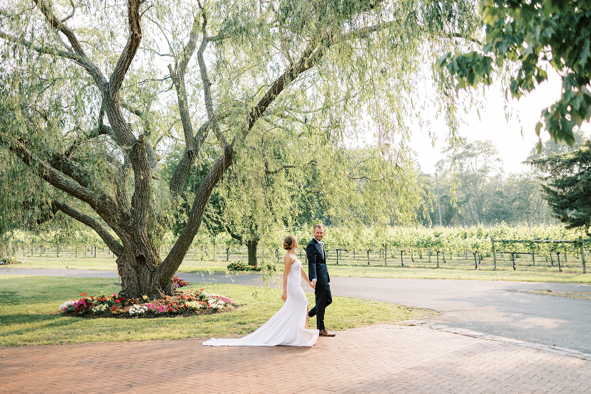 newlyweds hold hands walking under weeping willow at Willow Creek Winery