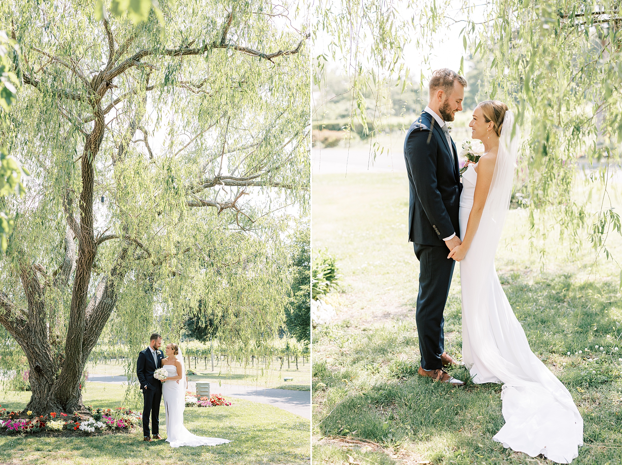 bride and groom hold hands under weeping willow at Willow Creek Winery