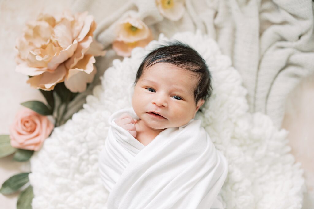 Philadelphia Newborn Photographer