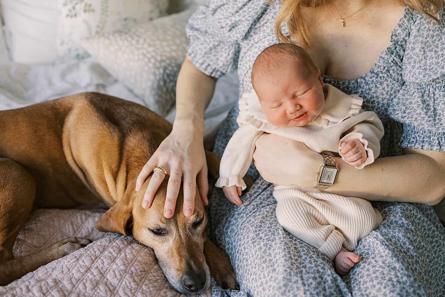 a mother pats her brown dogs head while holding her newborn baby girl who is wearing a tan Zara knit set for her newborn photos